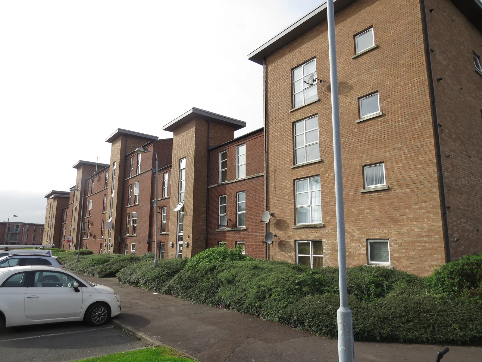 Lewis Mews